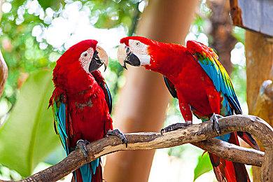 《灵魂骇客2》销量低于预期 世嘉将继续更新刺激销量